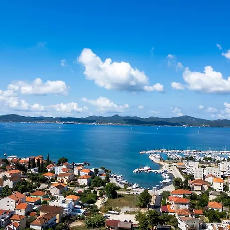 Celtis Zadar