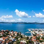 Celtis Zadar