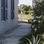 Celtis * Zadar